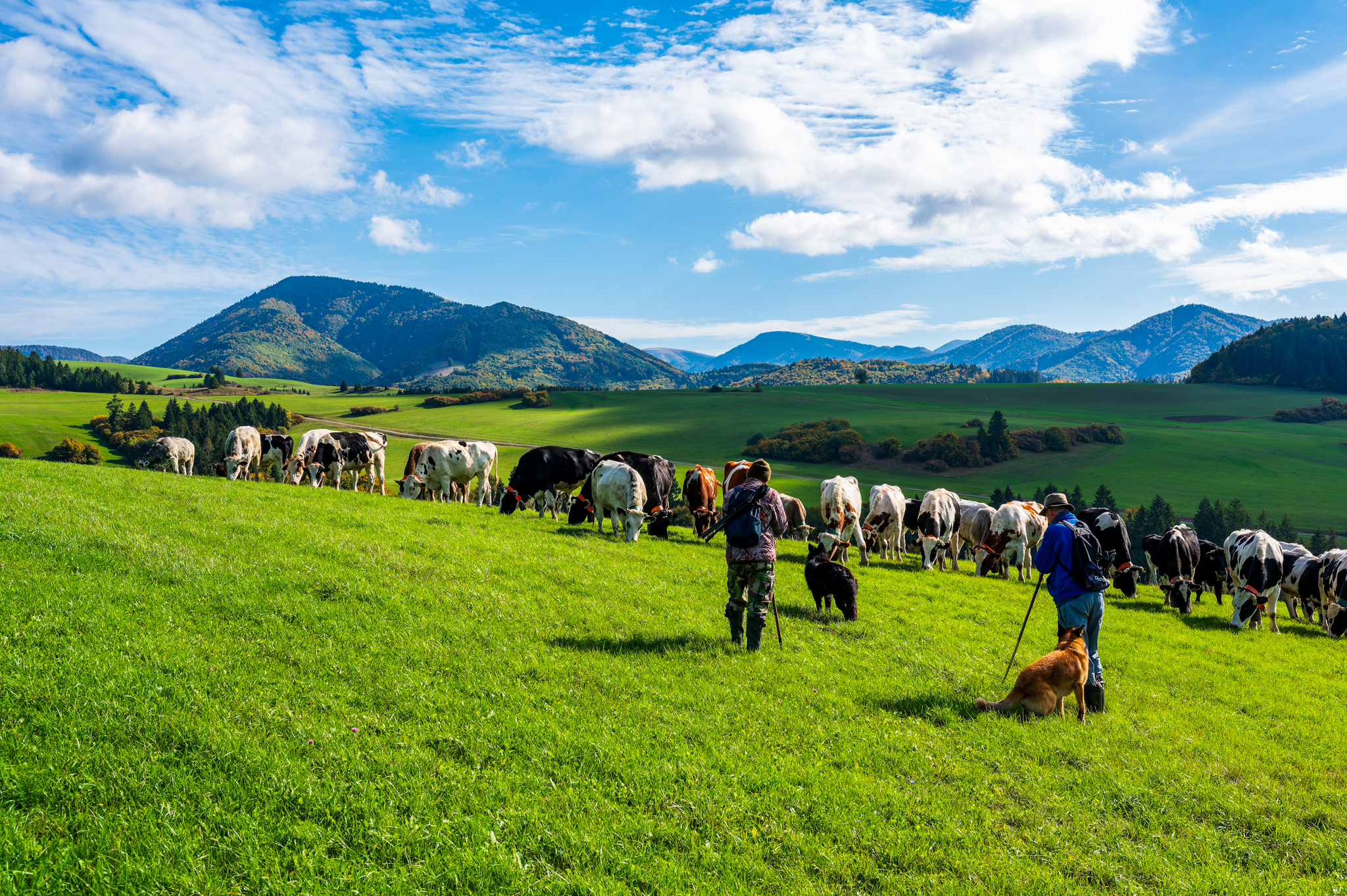 NZ6 5449 DxO DeepPRIME XD2s